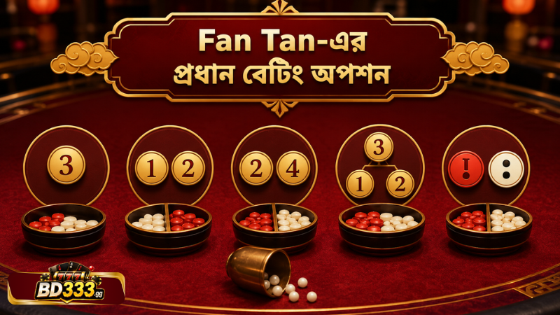 Fan Tan bd333